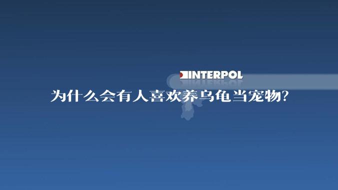 为什么会有人喜欢养乌龟当宠物？
