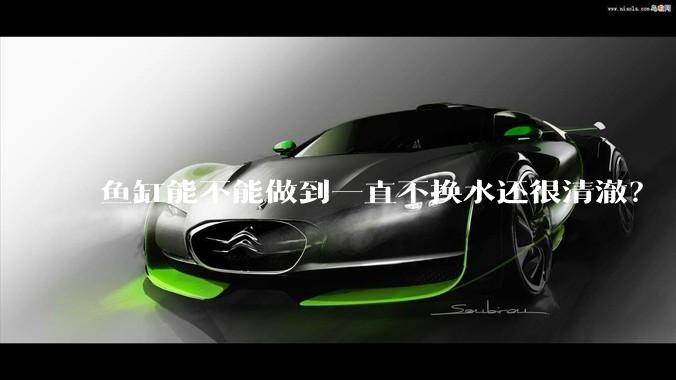 鱼缸能不能做到一直不换水还很清澈？