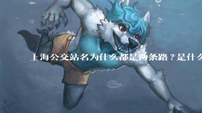 上海公交站名为什么都是两条路?是什么意思？